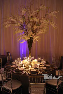 Trias Flowers Centerpieces Trias Flowers Close Up Centerpieces