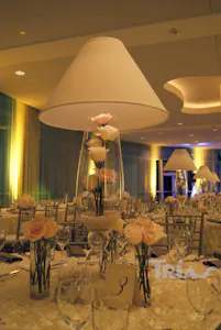 Trias Flowers Overview Trias Flowers Overview